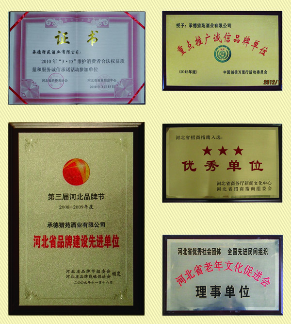 壹号娱乐 - NG大舞台,有梦你就来